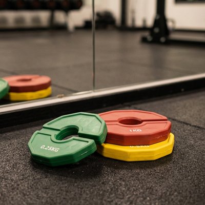 Disque musculation 